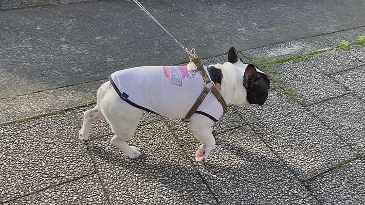 いつもの丘の上に来た頃には少し気温が上がり始めてました😅