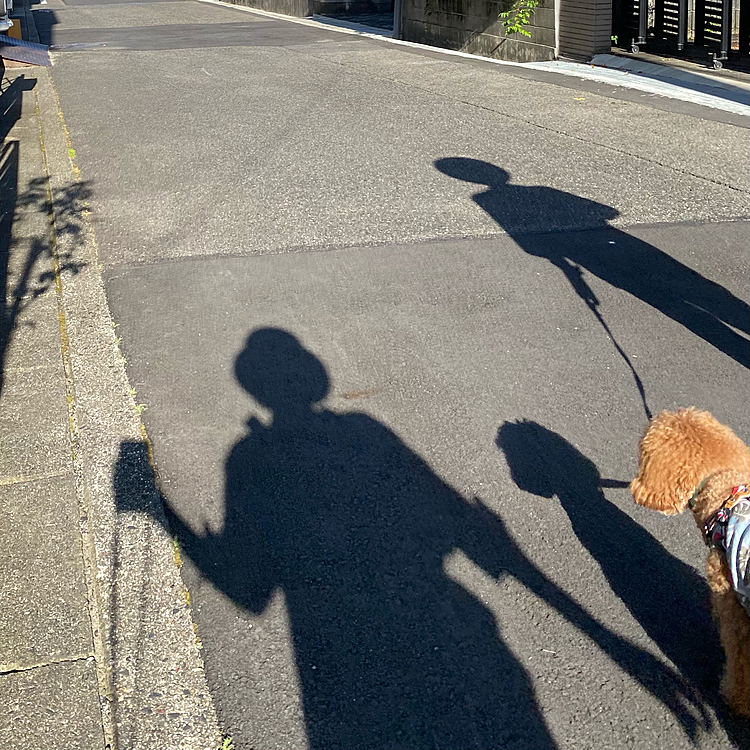 日陰は良いけど住宅街は日陰無いですね😓
影も可愛いね💕