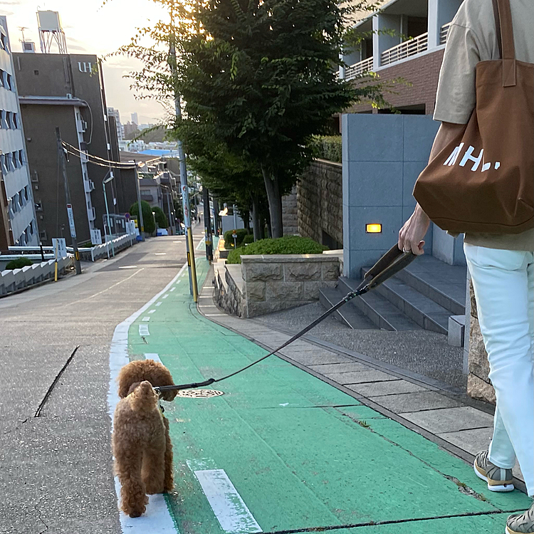 夕方ドラッグストアに行きたいと言うので18時過ぎ涼しくなった頃に隣の駅までダイエットも兼ねての夕散歩🐾
風があり割と涼しかったね♪