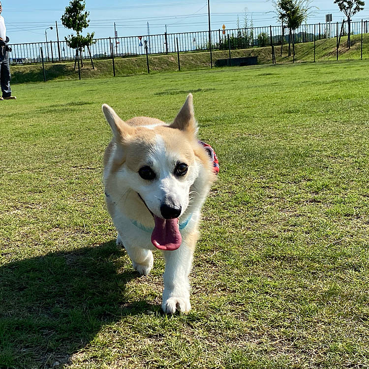 暑いから友達が誰もいない❣️
貸し切りです（笑）