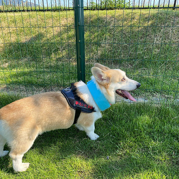 暑いからパパと一緒に日陰で休憩‼️