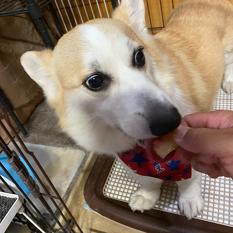 いっぱい食べたい〜