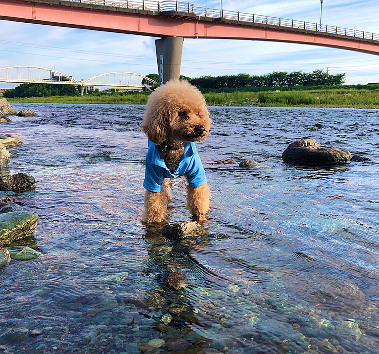 前の川へ。
水、冷たいけど、気持ちいいー❗️