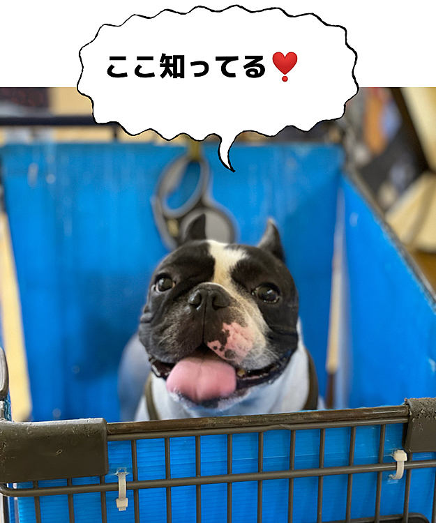 クルマに乗って出掛ければ、どこでもご機嫌なようです😁