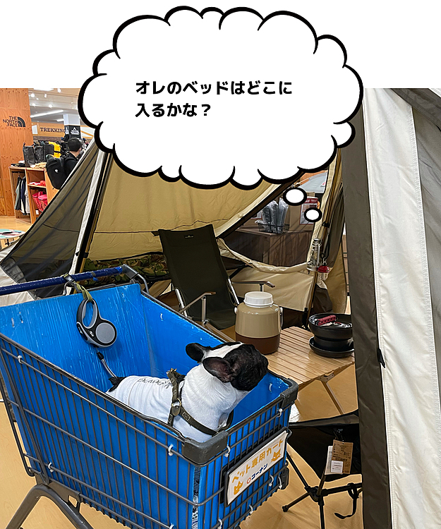 展示されてるテントをチェックです😁