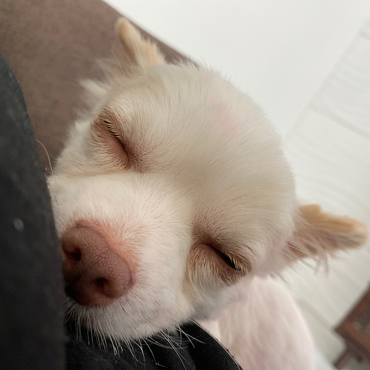 今日は早めのお昼寝です😪
