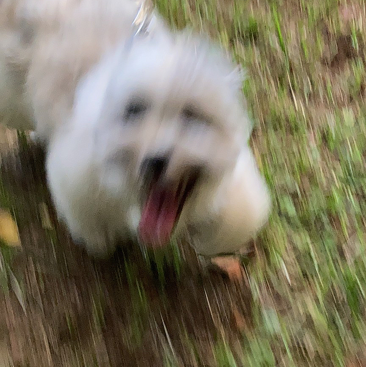 変な写真が撮れちゃた🤣