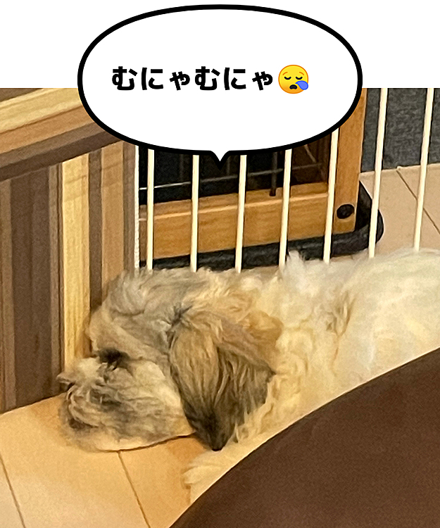 空が寝ている姿🤗