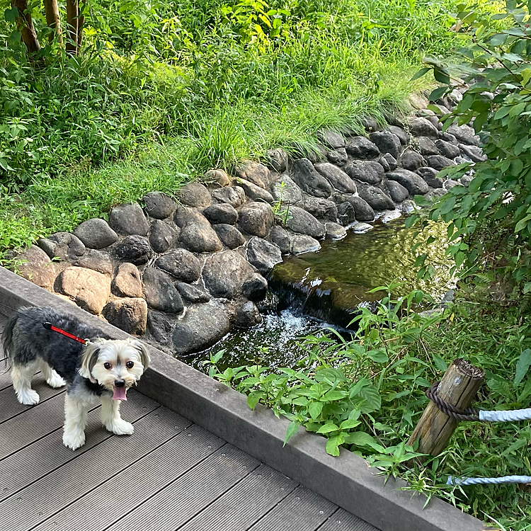 日陰も多く、せせらぎのある所で、日中でも過ごしやすいです。