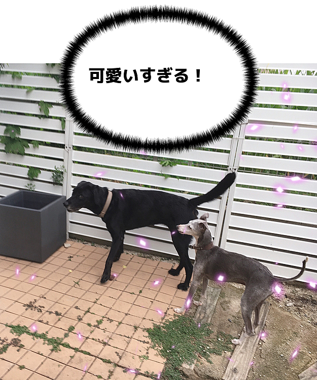 一緒に歩いてたから隠し撮り📸