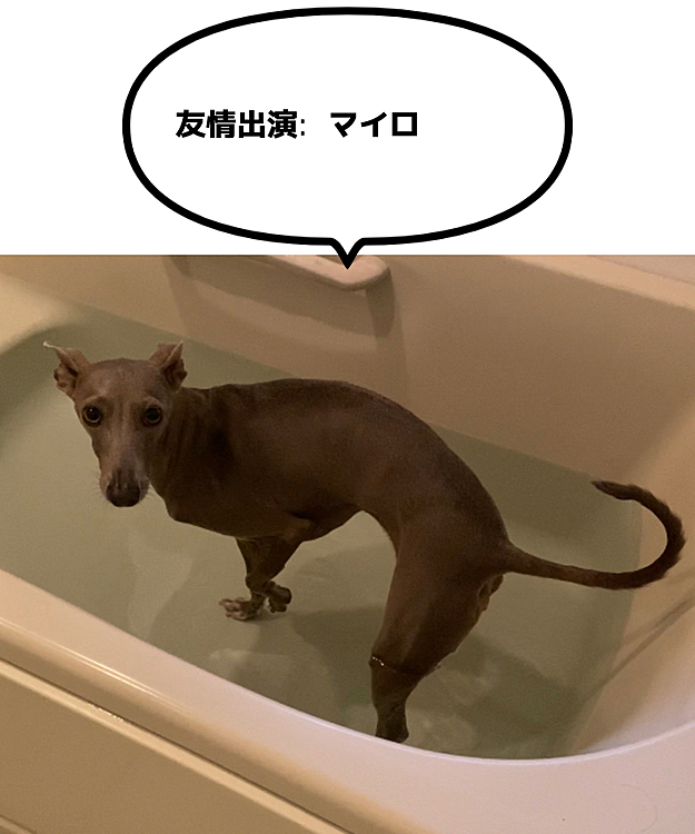 絆創膏の糊がベタベタ残っているので、
お姉ちゃんとお風呂に入りました♨️