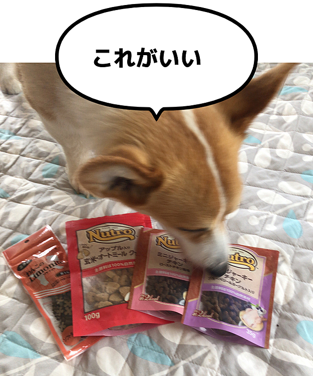 オヤツ食べようか❣️
どれにする?😃
ボクたん、今日はこれがいいらしいです😃