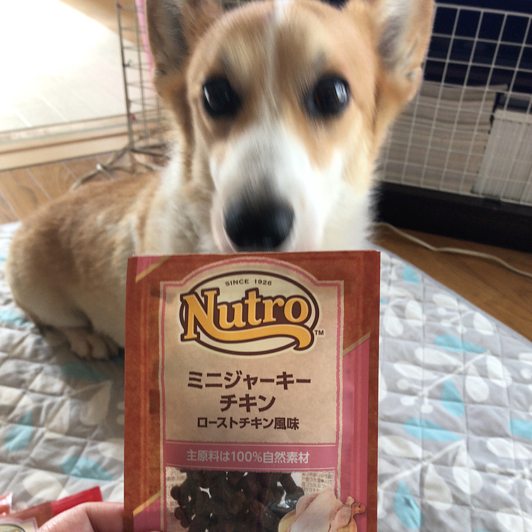 これ食べたよ😃
あれ?ボクたん選んだの。。これじゃないけど🤣🤣🤣😃
まぁまぁ🤣🤣🤣🤣