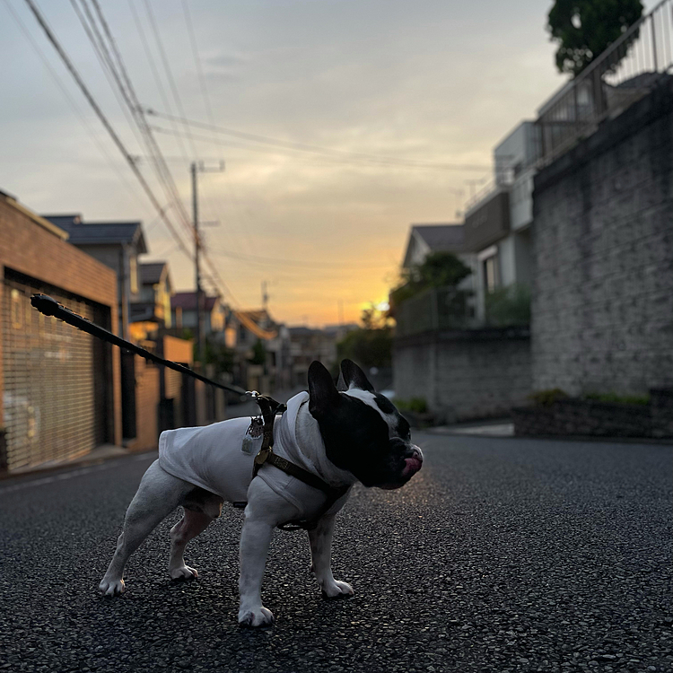 途中で陽が落ちてきました😁