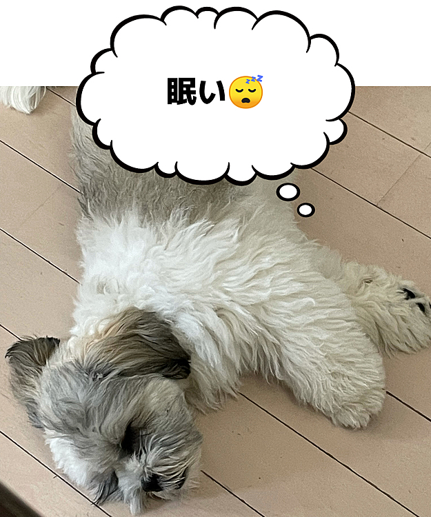 散歩して疲れた空