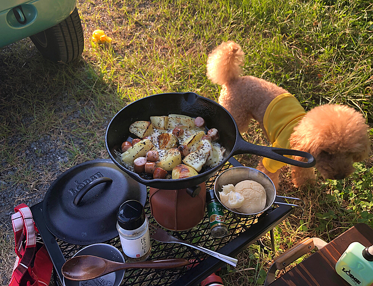 続きまして、飼主の朝ごはん。
ソーセージとポテトにチーズ🧀
かんたんスキレット料理✌️
バジルとスパイス追加でサイコー‼️

(昨夜、かーさんに 準備してもらってました。)