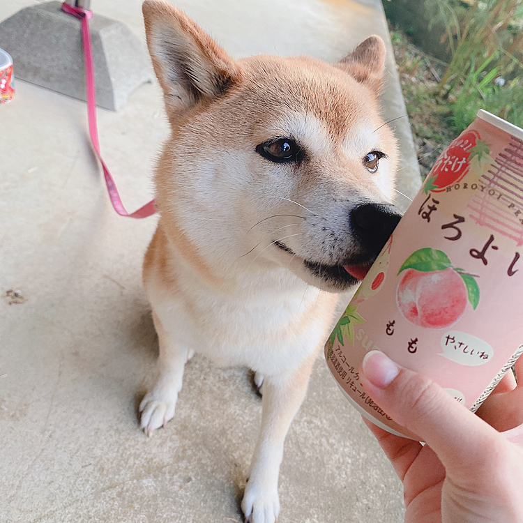 飲みますか？笑