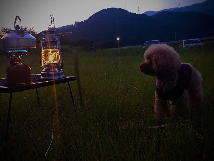 5時前、空が少しずつ明るくなってきました。
コーヒー淹れて夜明けを待ってるのもいいですね✌️