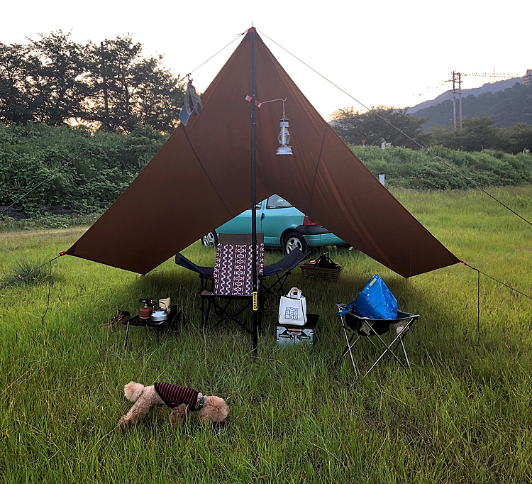 定刻6時。マルの朝食時間。本日も必死でがっついております。