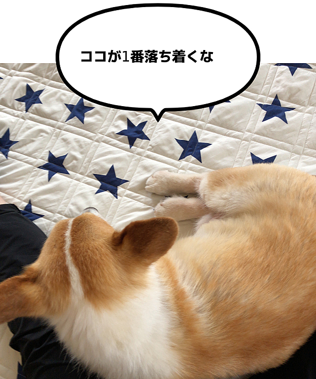 おかーたんのここが好きみたい😃