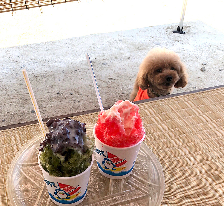 お店の横の縁台で、かき氷食べました。🍧🍧

店内よりも縁台で食べるとなんか懐かしく美味くいただけました。
