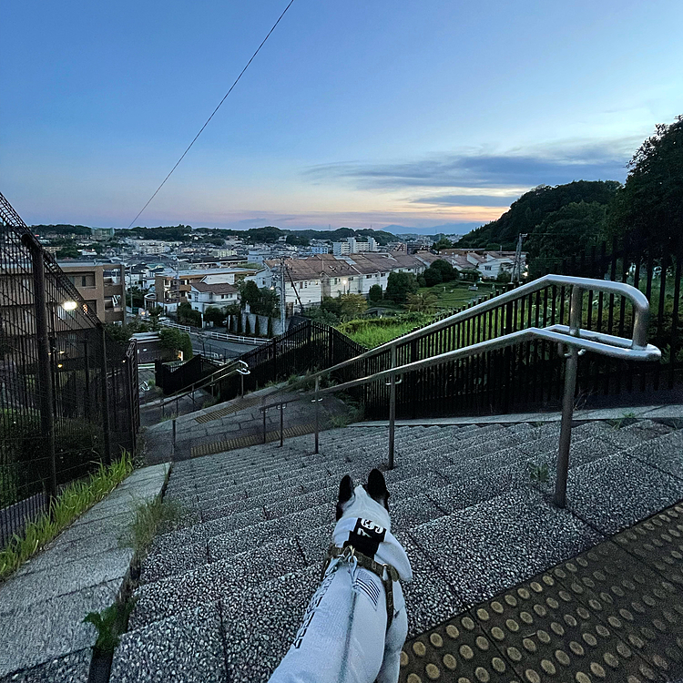 少しずつ日が短くなってますね🙂