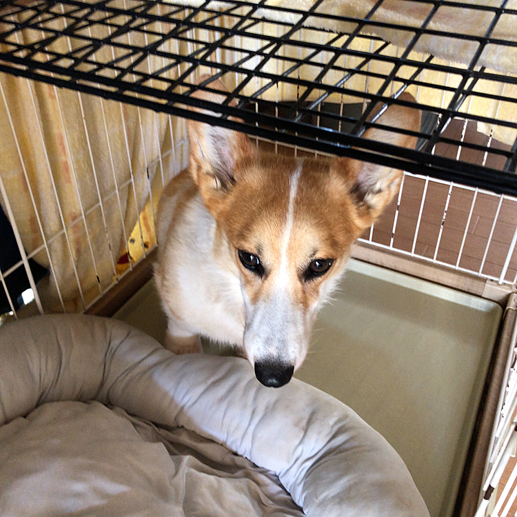 まだ寝ぼけ中🤣