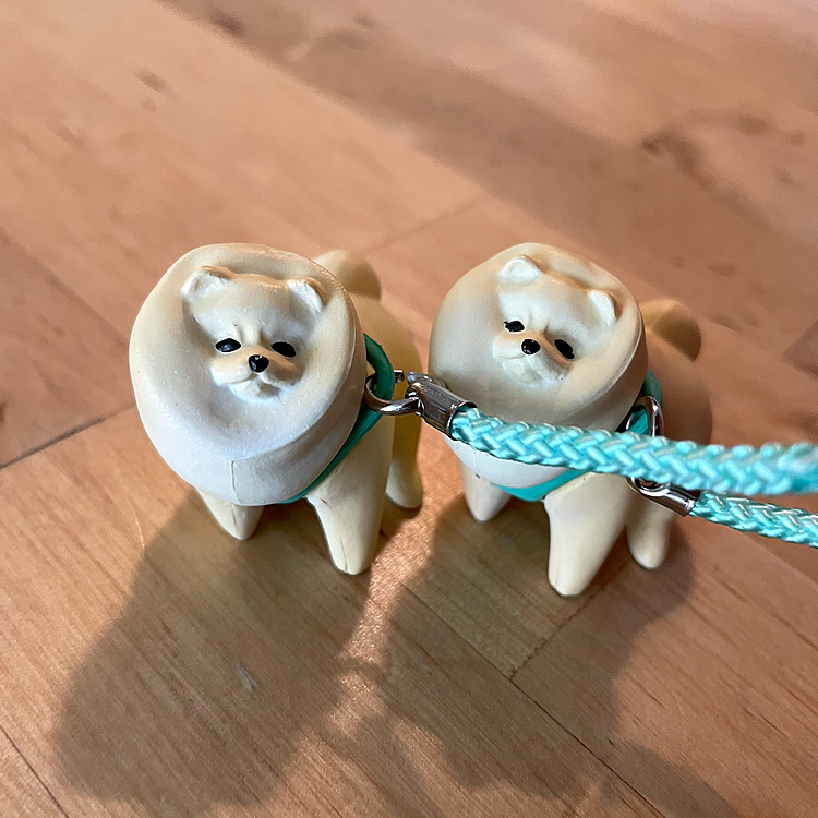 2回まわしました😆
同じのが出ました🐶🐶