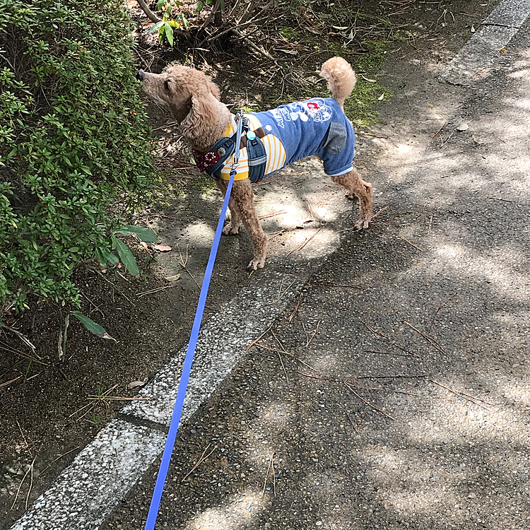 ここでもクンクン😊