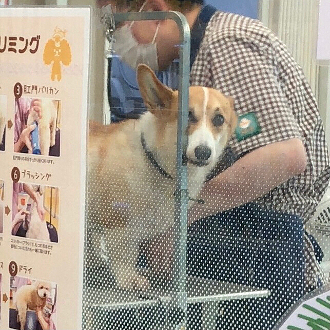お姉さんに期待してたのに。。メンズでガッカリ🌀
まある、感情顔に出しすぎだよ💦笑笑