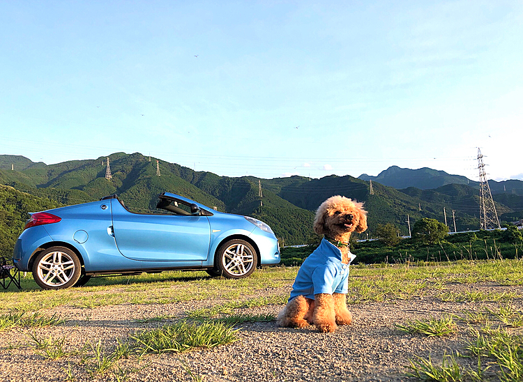 2021-8-7
🐾　3連休自粛

ーーーーーーーーーーー

マル地方、天気予報外れて晴れたり曇ったり　☀️🌥☁️

この3連休も、近所をウロウロでーす😅