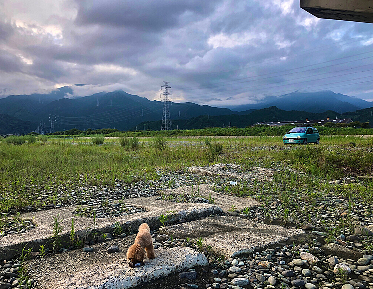 AM6:00 
いつものキャンプエリアのかなり河口。
誰もいない広い荒地で朝食。
飼主は朝マック✌️

ホント、誰も居ません。マスク無しで快適です✌️