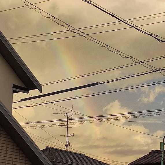 帰ったら、雨が降ってもないのに、この幅だけ虹🌈が出てました。
先週は少し雨が降ったあとに同じような時間にキレイに180度の虹がかかってました。
二週連続は初めてです😊