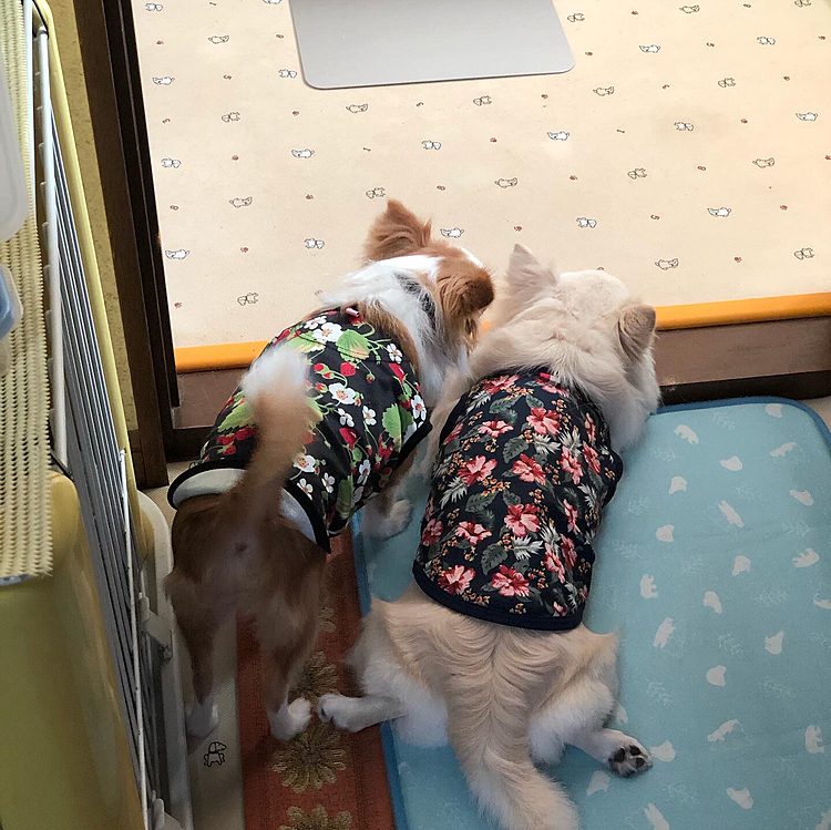 小春)小雪たん、なに見てんの❓
小雪)それは言われへん😏