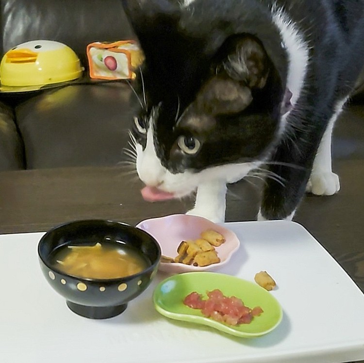 食べるの下手くそなので…
散らかしながら　完食しました👍