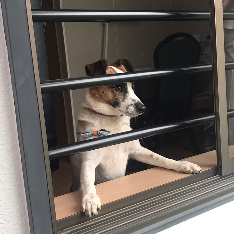 おみおくりが、偉そう⁉️