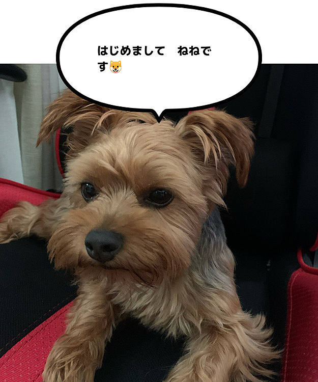 ne2ma2の投稿