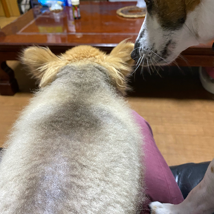 様子を探りながら近づいて、、、❣️