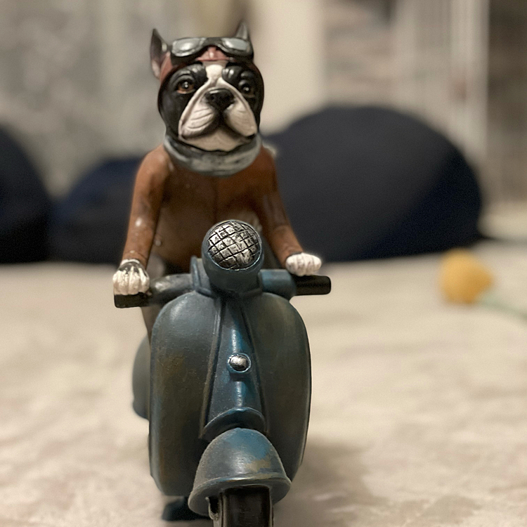 バイクを自由に乗り回す夢を見てたかな❓😆