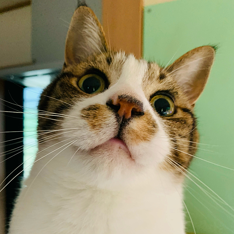 何か見つけたようです(=^x^=)