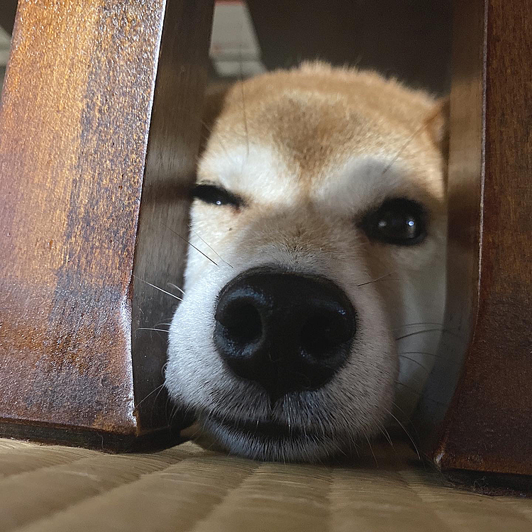 ずっと雨☔️🌧
暇だね〜