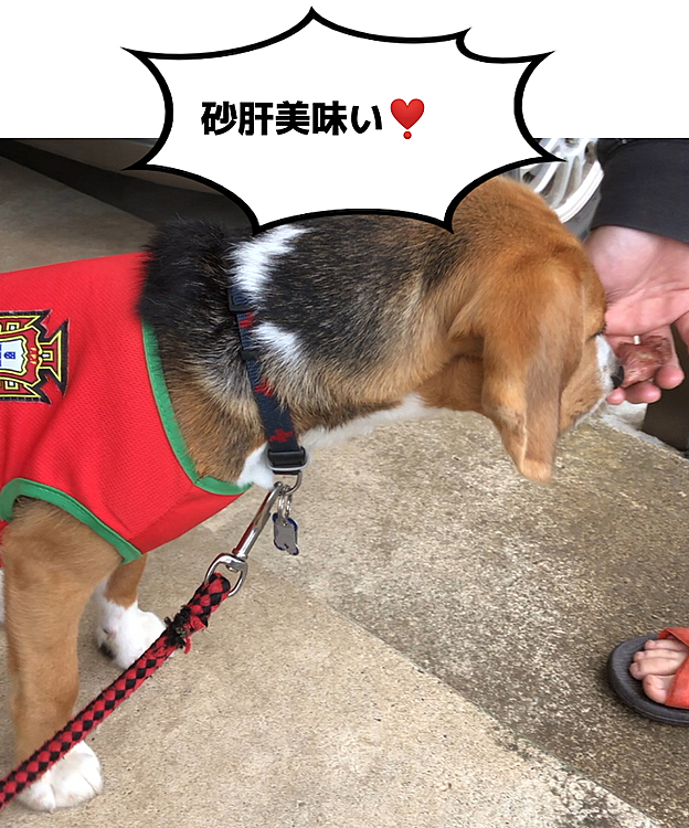 美味しくてあまり噛まずに飲み込んだ‼️😳