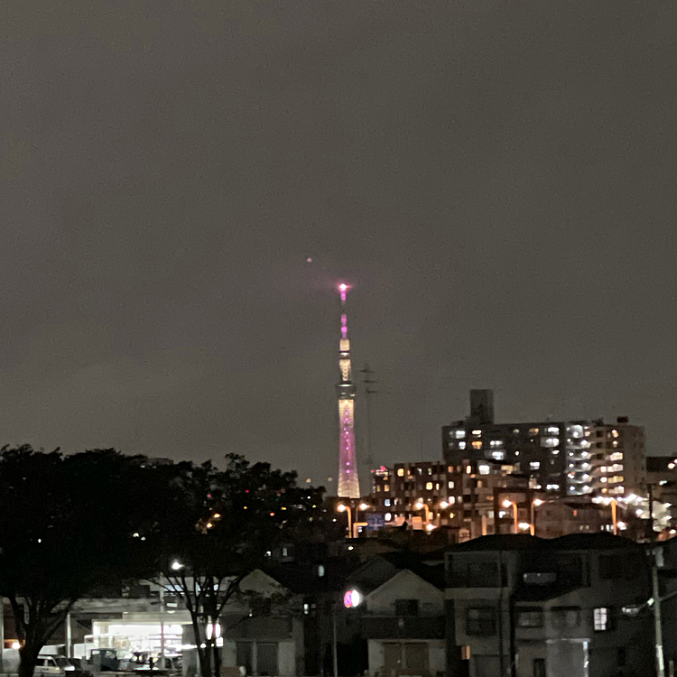 いつもより綺麗に見えてたのに…