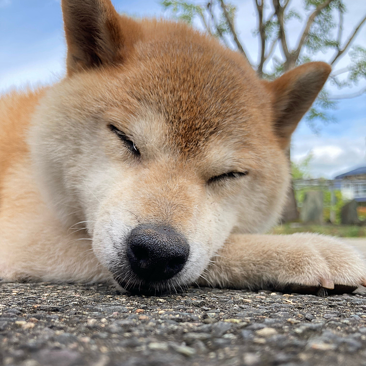 日向ぼっこ中
