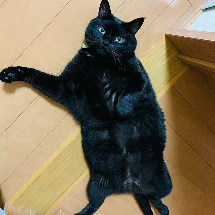 今日も暑かったね💦