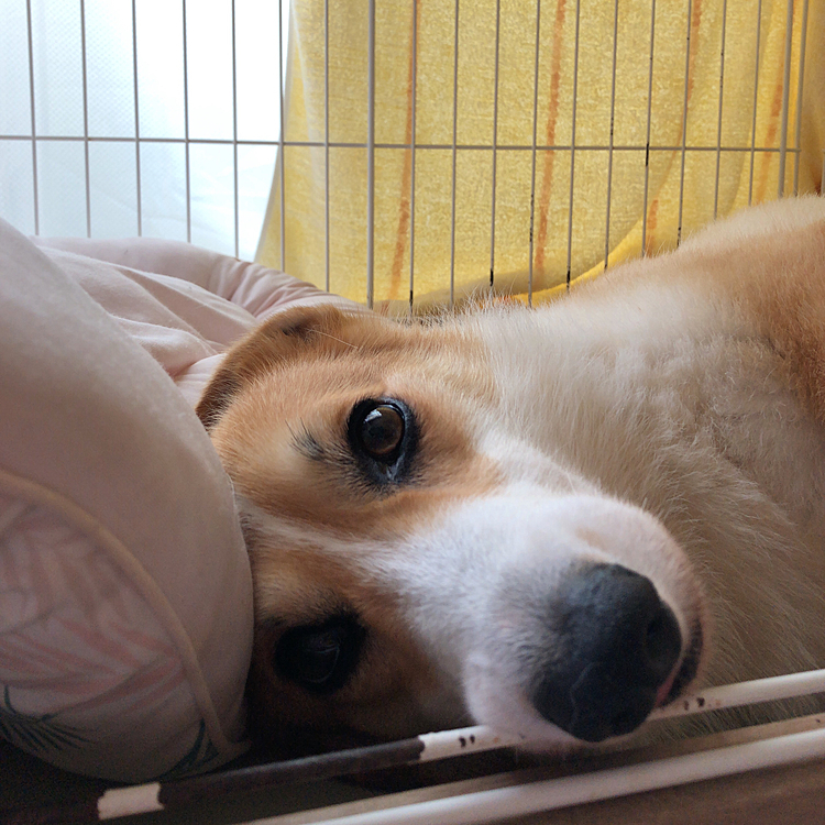 おかーたんももう一回寝たら？的な顔🤣🤣