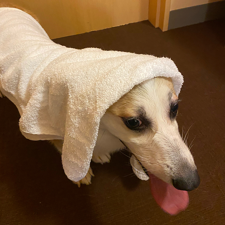 さっぱりしたよ〜