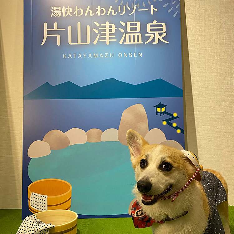 フォトスポットで記念撮影
