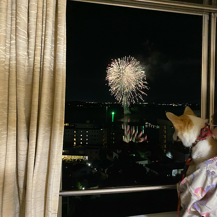 部屋に戻ったら花火大会をしてたのでママに抱っこして貰って観てたよ〜
もしかしてパパがママの誕生日の為に花火？
そんな訳無いか〜（笑）