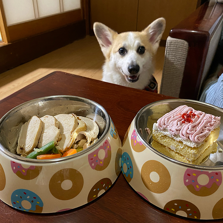 ママのケーキをお裾分けして貰って
ボク用のウマウマも準備してくれた〜パパありがとう❣️